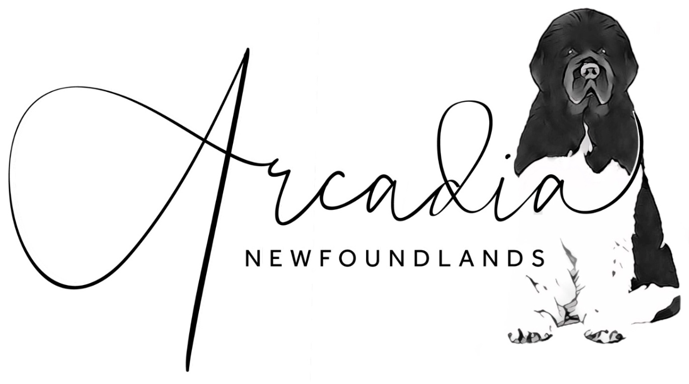Arcadia Newfoundlands Logo