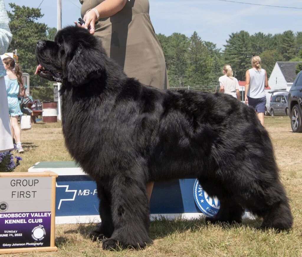 7EA28D49-7578-42DF-ABDD-4C0BE48185DF