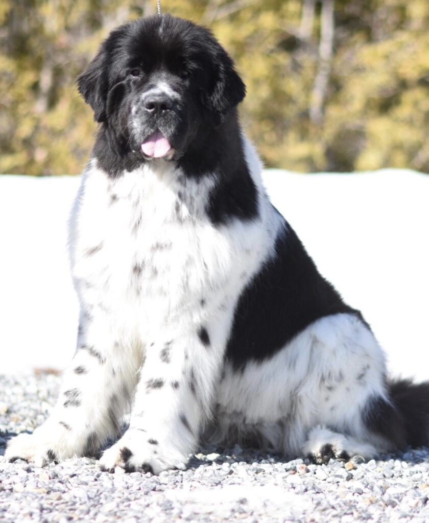 91828931-69DD-4D0F-A927-8634F127C55A