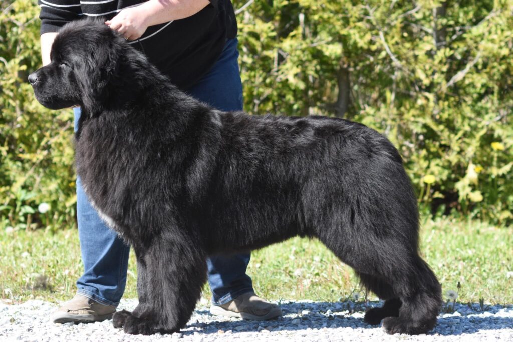 FD6D101F-1E8B-415C-BAF0-A4F4DD37C3A5