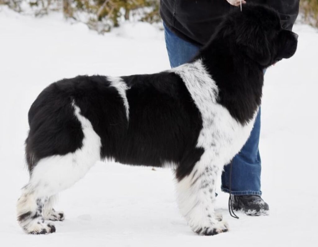 4CC08390-E6DC-4C83-9248-A0021A0527B6