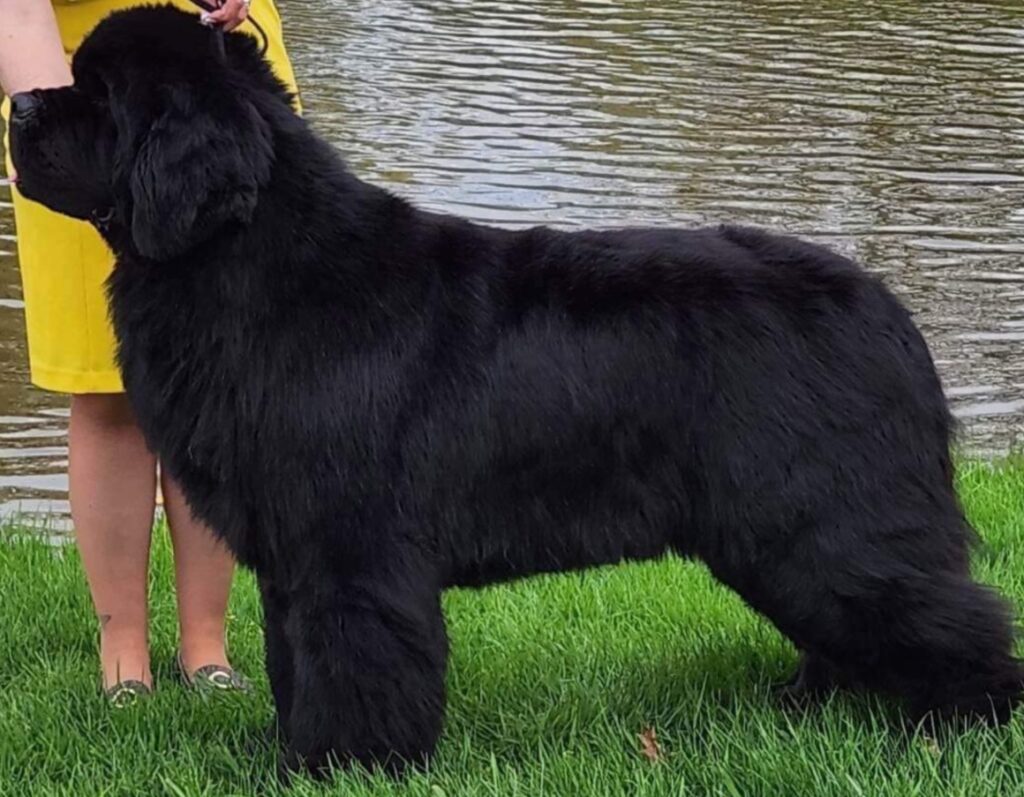 9E462A81-DFCF-4E4A-A154-D2CC0C7B9326