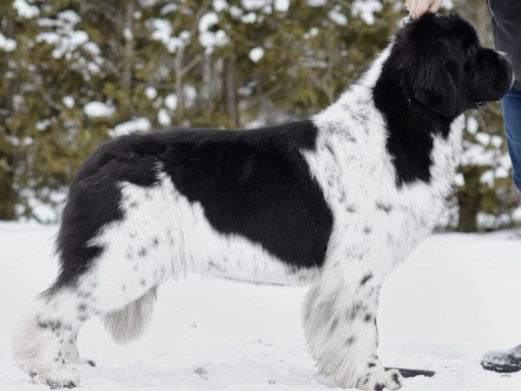 692FD452-1B4B-4E80-AD68-18E80587577C