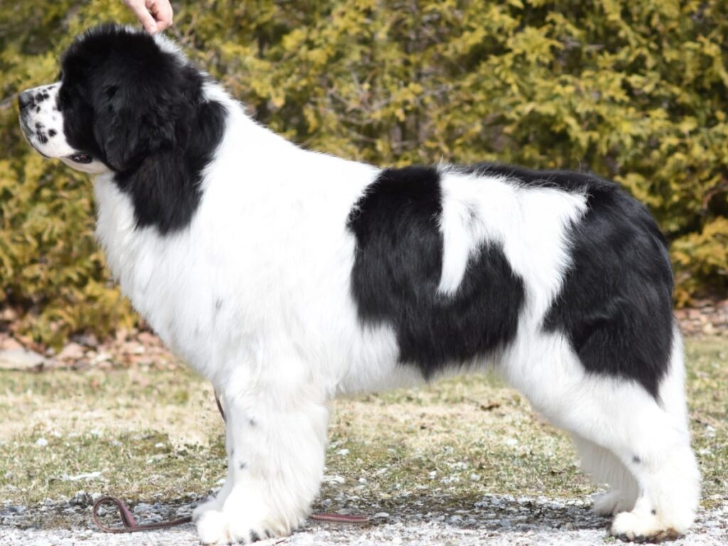 959B29CD-470E-4F18-914E-720AF4187468