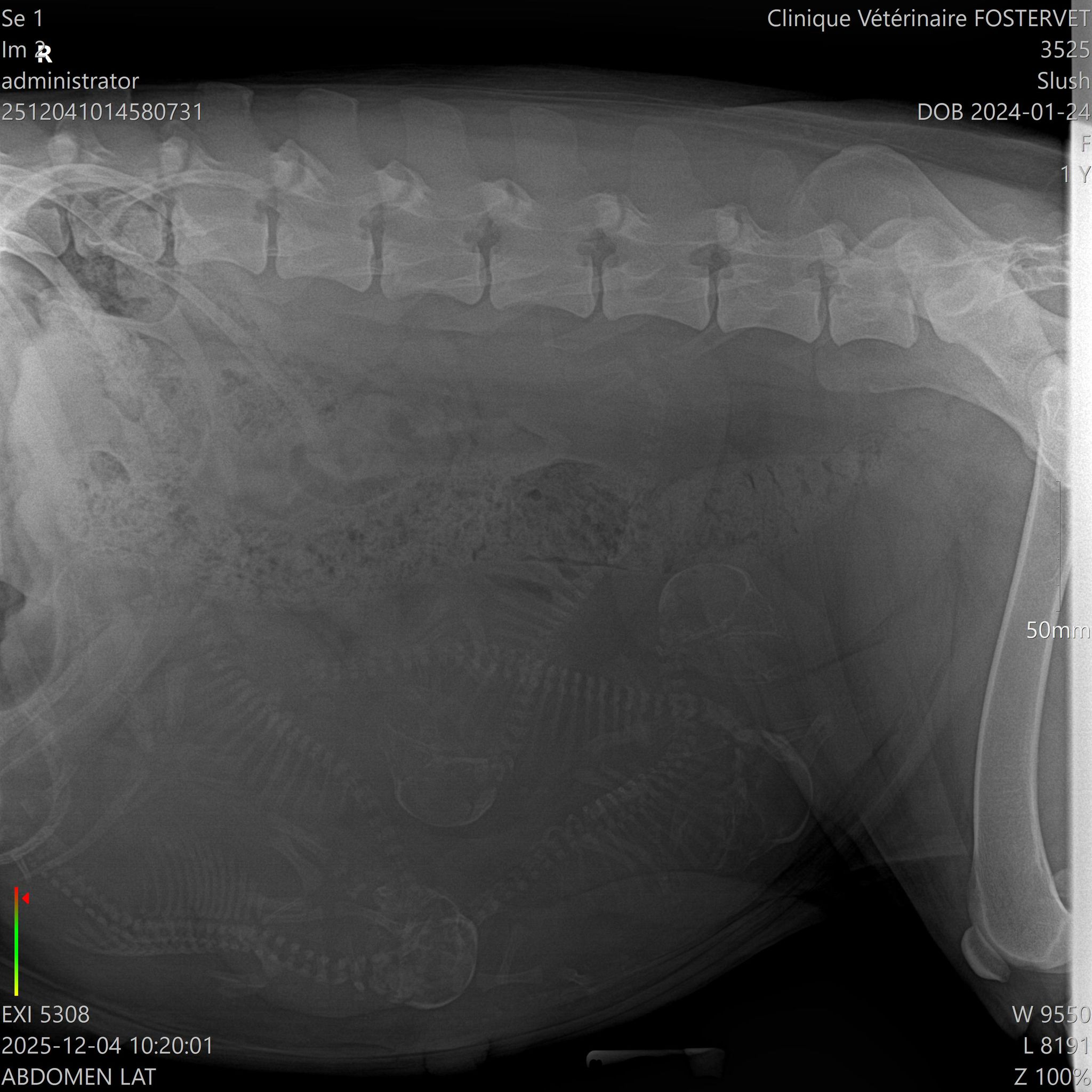 df93cf48-ed96-4700-8c49-f261d21a42b2