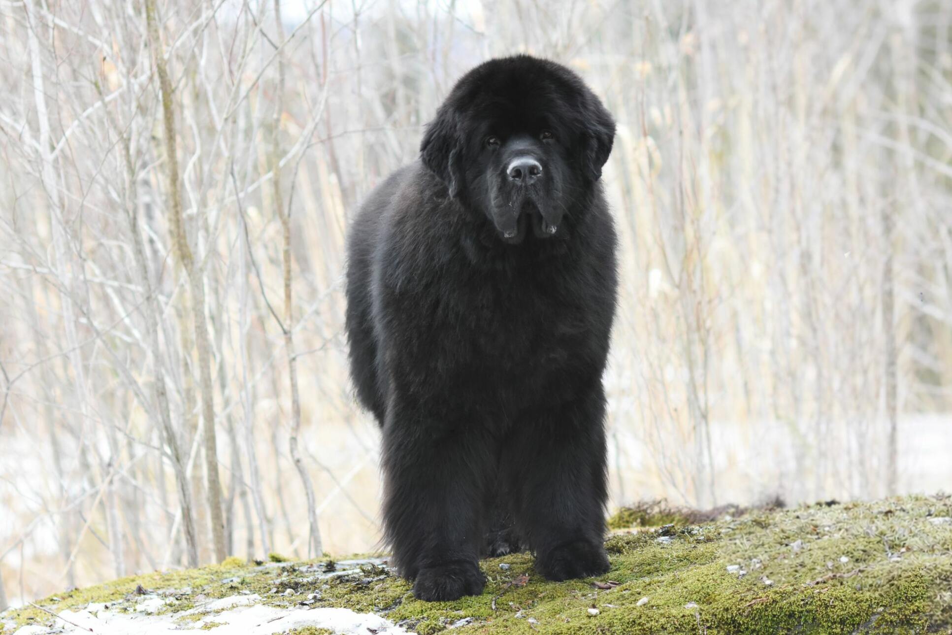 89853049-a8c1-4eed-8f94-e7f4a7d8b195